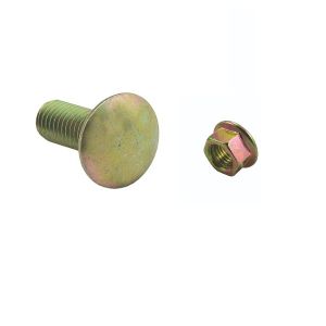 M10 x 25 mm Carriage Bolt with nut